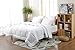 Down Alternative Comforter (White,King) - Quilted Comforter - Hypoallergenic, Plush Siliconized Fiberfill Duvet Insert - Baffle Box Stitched Exclusively by The Great American Store RN# 148186