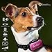 GoodBoy No Bark Collar For Small To Medium Dogs by âÂÂ Waterproof Anti Bark Training Collar - Best Selling On Amazon âÂÂ Safe, No Shock Design With No Spiky Prongs âÂÂ Updated LCD Display (7+ lbs)