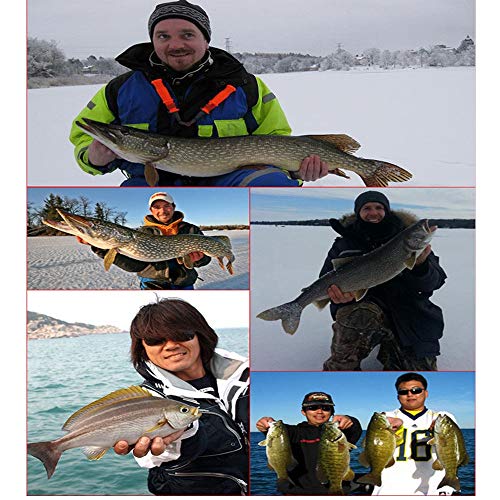 Huangwanru Multi Jointed Künstlicher Köder 10 Stück Angelköder Kit mehrteilige Fisch Bionic Bait Universal Verschiedene… – Bild 8