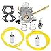 Hipa 308028007 Carburetor with Gasket Fuel Line Filter for Homelite UT08520 UT08550 UT08921 UT08951 26CC Blower