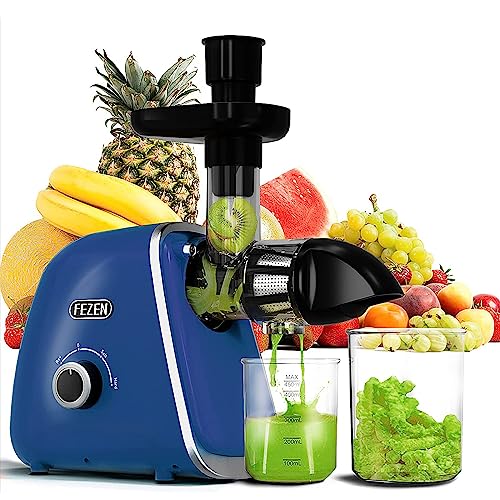 Juicer Machines for Fruits and Vegetables, FEZEN Juicers Best Sellers Easy to Clean 2 Speeds & Reverse Control, High Juice Yield & Fresh Taste, Celery Juice Extractor for High Nutrient Juice