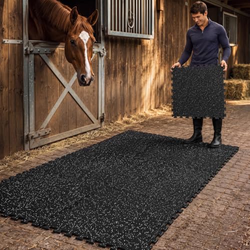 Dilunave Interlocking Rubber Stall Mats