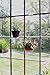 WINDOW GARDEN Veg Dangler Suction Cup Window Hanger – Bird Feeder Holder, Indoor Plant Hanger, Wind Chimes, Ornaments, Flower and Herb Pots, Terrarium, Air Plants, Hanger Holder(1 Pack)