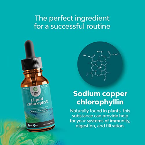 Natural Chlorophyll Liquid Drops for Water Liquid Chlorophyll Mint