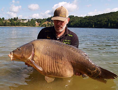 MK-Angelsport Funk Bissanzeiger Set 3+1 Multi Carbon 1:1 Übertragung – Bild 5