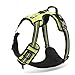 Chai's Choice Best Outdoor Adventure Dog Harness (X-Large, Green)