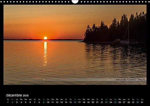 Désirée Reine De Suède Et De Norvège Broché 29 Mai 2001 - 