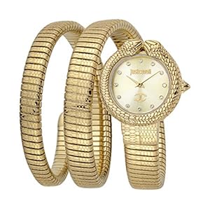 517m0E%2BnRzL. SS300