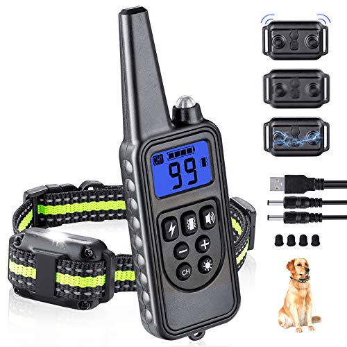 large breed shock collar