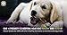 Nature Gnaws Bully Stick Springs for Dogs 7-8