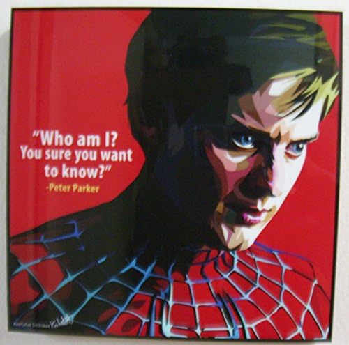 Spider-man Photo Floater Frame 10"x10", Peter Parker