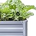 Galvanized Raised Garden Beds for Vegetables Metal Planter Boxes Outdoor Flower Bed Kit Steel Patio (6' x 3' x 1', Gray)