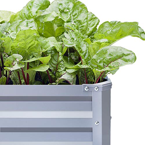 FOYUEE Galvanized Raised Garden Beds for Vegetables Metal Planter Boxes Outdoor Large Patio Bed Kit Planting Herb, 6x3x1ft
