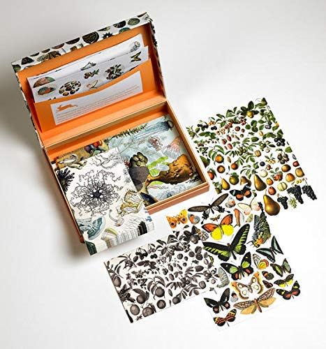 Natural History - Letter Writing Set: Letter Wrting Set - Briefpapier Set