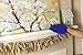 Microfiber Chenille Dusting Mitt for Home and Car Cleaning - Set of 2 Hand Duster Gloves by bogo Brands (Blue)