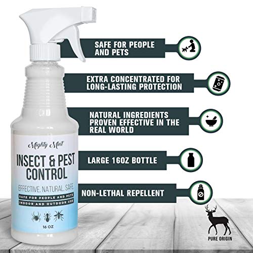 1 Mighty+Mint+Control+Peppermint+Natural