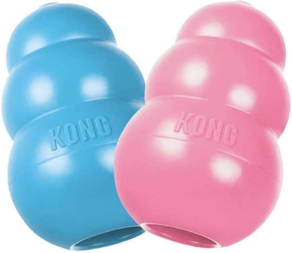 kong medium size