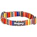 Blueberry Pet Essentials Nautical Flags Inspired Designer Adjustable Dog Collar, Neck 12