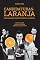 Livro Candidaturas-Laranja: o necessário enfrentamento jurídico