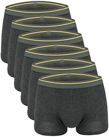 Sexyggs Men's 6-Pack Top Bamboo Fiber Comfortable Ventilate Fashionable Boxer Brief