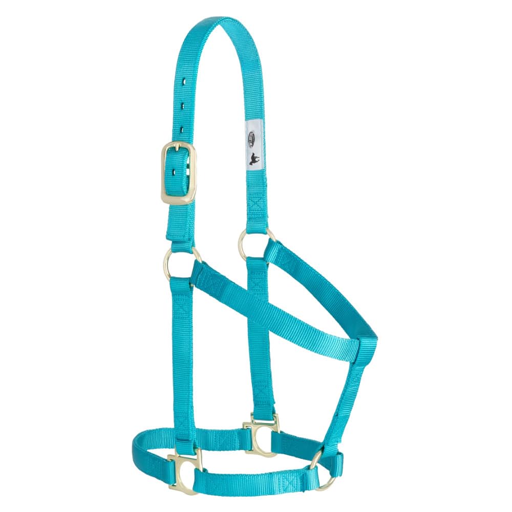 Weaver Leather Basic Non-Adjustable Nylon Horse Halter, Turquoise, 1" Average Horse — image 1