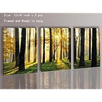 Nuolan Art Canvas Prints 3 Panels Framed Ready to Hang Modern Landscape Canvas Wall Art, Oil Painting Print Wall Decoration- P3L3040-004