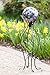 Evergreen Garden Classic Iron Gazing Ball Stand