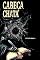 Livro Cabeça Chata