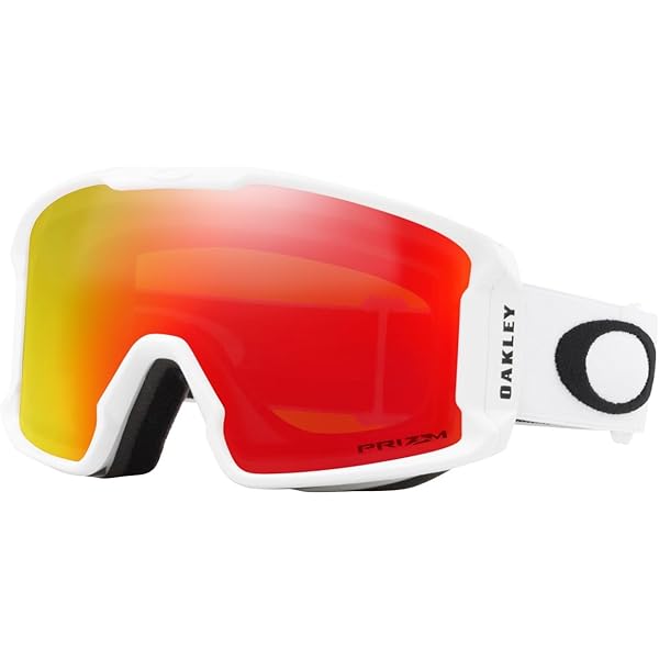 Amazon.com: Oakley Flight Deck M Prizm Snow Goggles Matte White