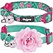 Blueberry Pet Pack of 2 Cat Collars, The Floral Power Relaxing Jungle Green Adjustable Breakaway Cat Collar for Girl & Boy with Bell & Detachable Flower, Neck 9