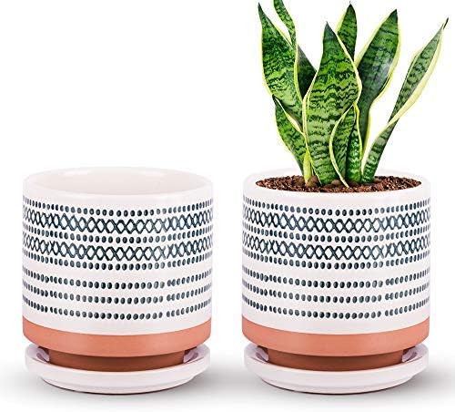 Succulent Pots Small Flower Pots Indoor 5 Inch Ceramic Planter Plant Pot With Porcelain Tray Drainage Hole For Snake Plants Jade Plant Herbs Prack Of 2 Plants Not Included Amazon Ae