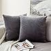 MIULEE Pack of 2, Velvet Soft Soild Decorative Square Throw Pillow Covers Set Cushion Case for Sofa Bedroom Car 20 x 20 Inch 50 x 50 cm