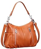 Heshe Women's Handbags Shoulder Cross Body Totes Bags Purses for Ladies (Brown-H)