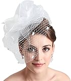 L'ivresse White Birdcage Net Wedding Bridal Fascinator Face Veils Feather Flower with Hairpins (WHITE)