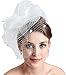 L'ivresse White Birdcage Net Wedding Bridal Fascinator Face Veils Feather Flower with Hairpins (WHITE)