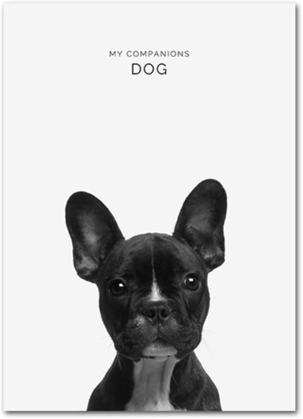 Tylpk Druck Leinwand Wandkunst Baby Tier Kinderzimmer Dekor Druckbare Kaninchen Eisbar Hund Malerei Bilder Kinderzimmer Spielzimmer Poster 40x60cm 15 7 X 23 6 X3 Kein Rahmen Amazon De Kuche Haushalt
