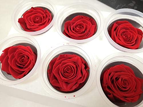 Preserved Roses, Natural Roses That Last for at Least 1 Year, Eternal Everlasting Roses Head, Real Rose Texture/Look,Replace Artificial Flowers Wedding Decorations,no Watering,Non-Toxic(Box of 6-Red)
