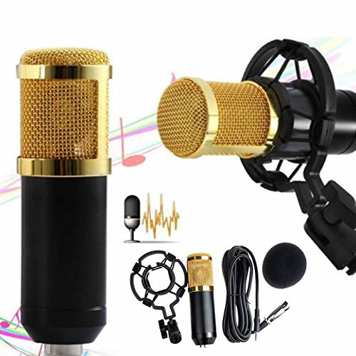 Good Condenser Pro Audio BM800 Microphone Sound Studio Dynamic Mic +Shock Mount (Black)