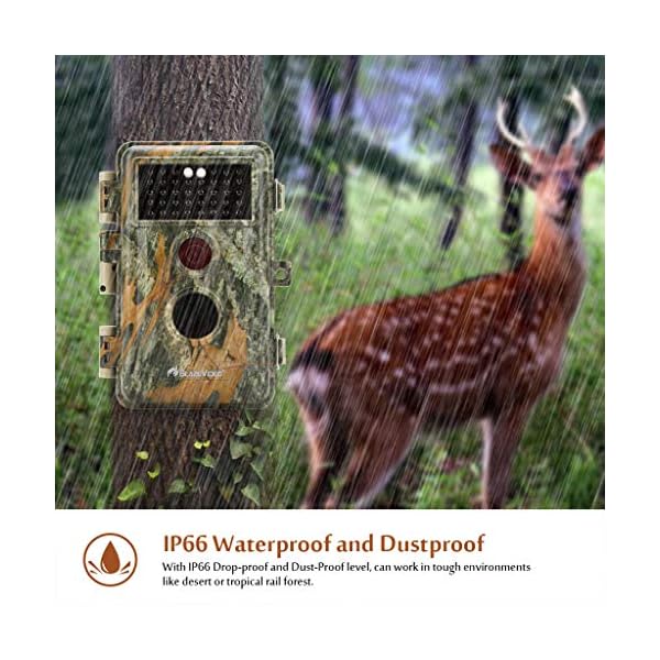 BlazeVideo 48MP Wildkamera Nachtsichtkamera Wildtier Kamera mit 1296P H.264 MPV Video, Bewegungmelder Nachtsicht Zeittraffer, IP66 Wasserdicht und 2,4" Bildschirm – Bild 5