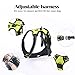 rabbitgoo Dog Harness No Pull with 2 Leash Clips, Adjustable Soft Padded, Reflective Oxford No Choke Pet Vest with Easy Control Handle for Large Dogs, Green, XL