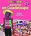 Aujourd'hui en Guadeloupe : Lou à Sainte-Anne by