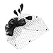 Urban CoCo Women's Vintage Flower Feather Mesh Net Fascinator Hair Clip Hat Party Wedding (Series 5-Black)