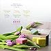 Natural Vegan Bath Bar Soap - All Natural Beauty Bars Gift Box Soap Sets for Women Unique Gifts with Exfoliating Sisal Soap Saver for Bath Body Hand by Premium Nature