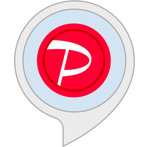 Amazon Co Jp Paypay銀行 Alexaスキル