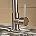 Rozin Nickel Brushed LED Colors Changing Kitchen Sink Faucet Brass Pull Out Mixer Tap.