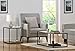 Altra Furniture End Table with Metal Frame, Beautiful Sonoma Oak Finish