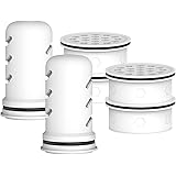 GLACIER FRESH Water Pitcher Filter Replacement for LS Home Dispenser and Pitcher Systems, Reduces Chlorine Taste and Odor, 2 