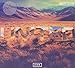 Zion [CD/DVD Combo][Deluxe Edition]