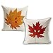 Wonder4 Geography Theme Throw Pillow Covers Home Decorative Map Art Throw Pillow Cases Couch Covers Decoration, Home Sofa Bedding Set of 2 (18x18)
