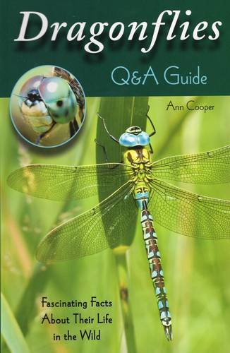 Dragonflies: Q&A Guide: Fascinating Facts About Their Life in the Wild